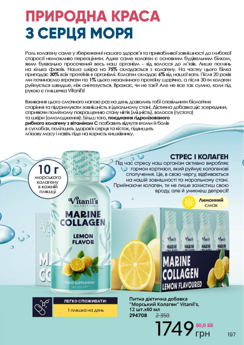 Каталог №10 - 2023