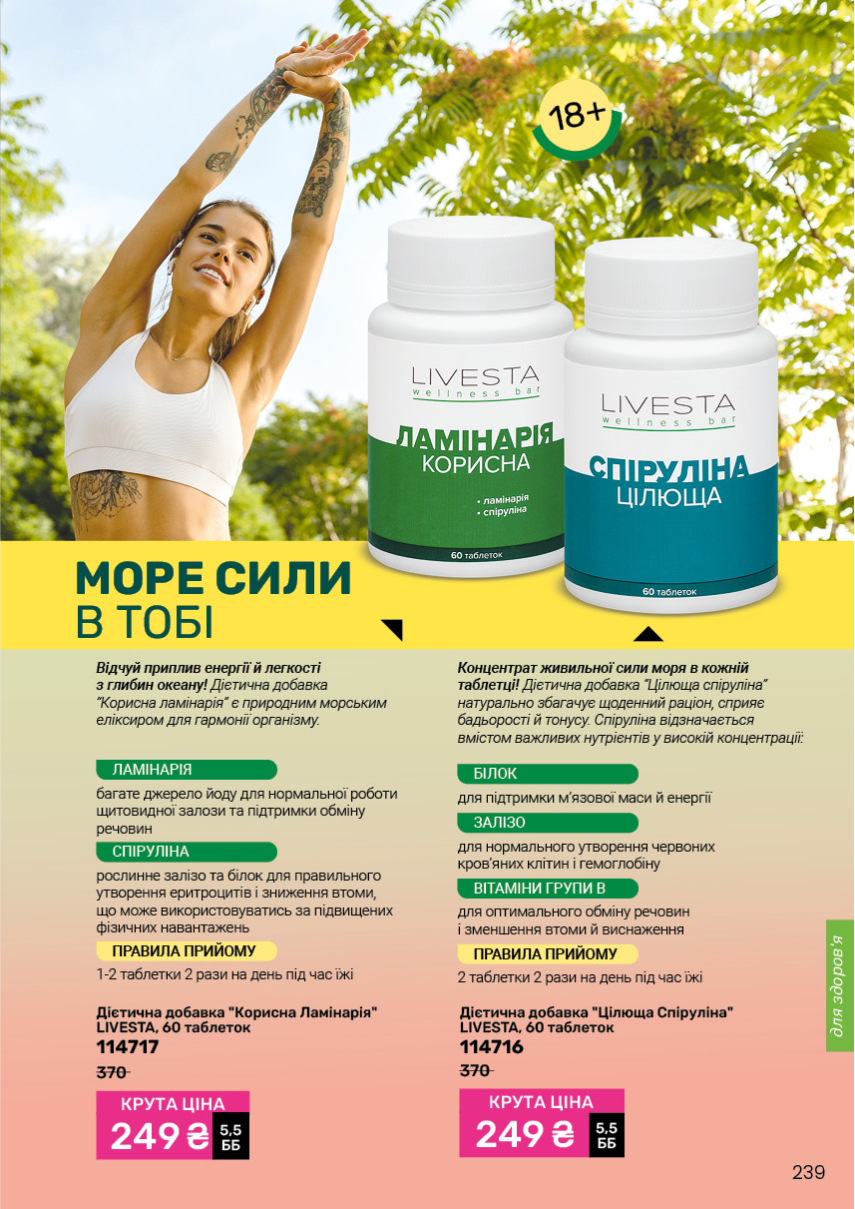 Каталог №11 - 2026