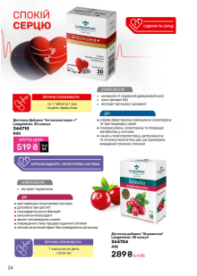 Каталог №8 - 2025