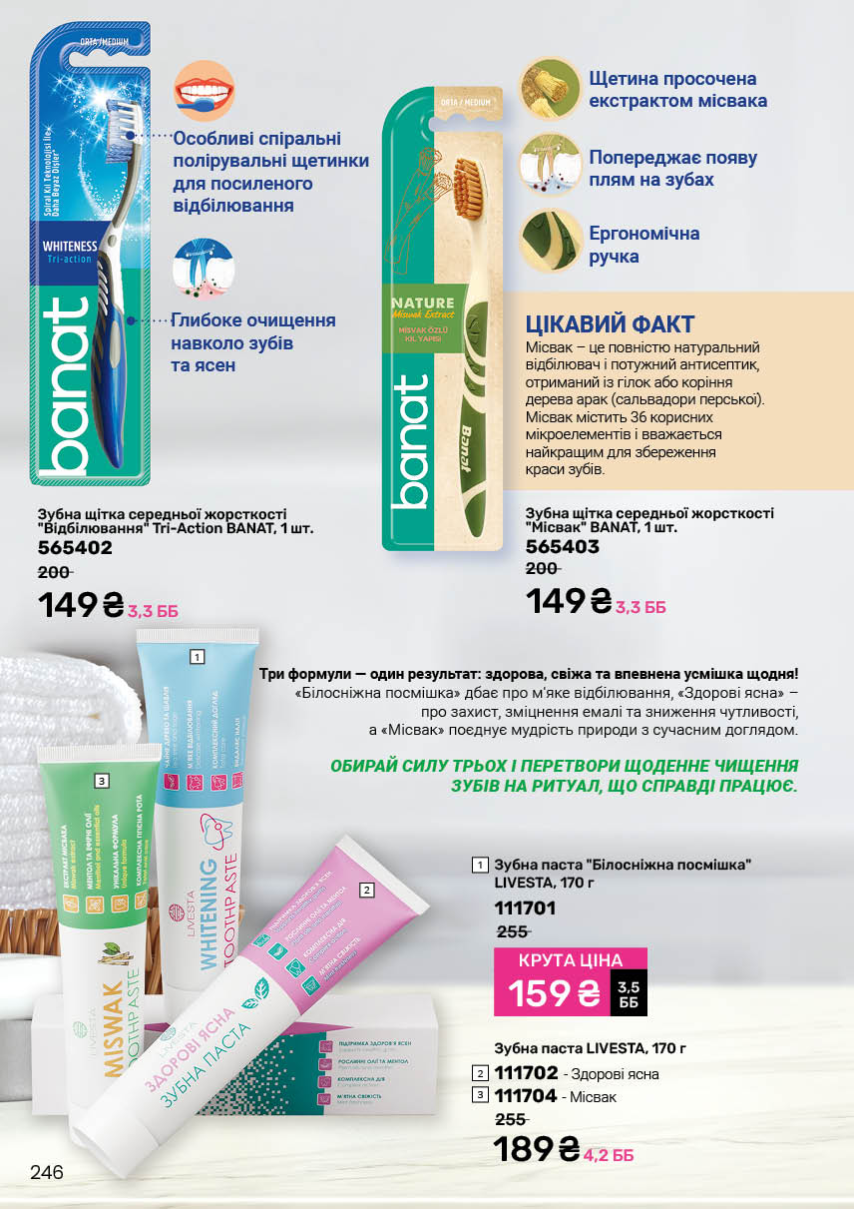 Каталог №12 - 2025