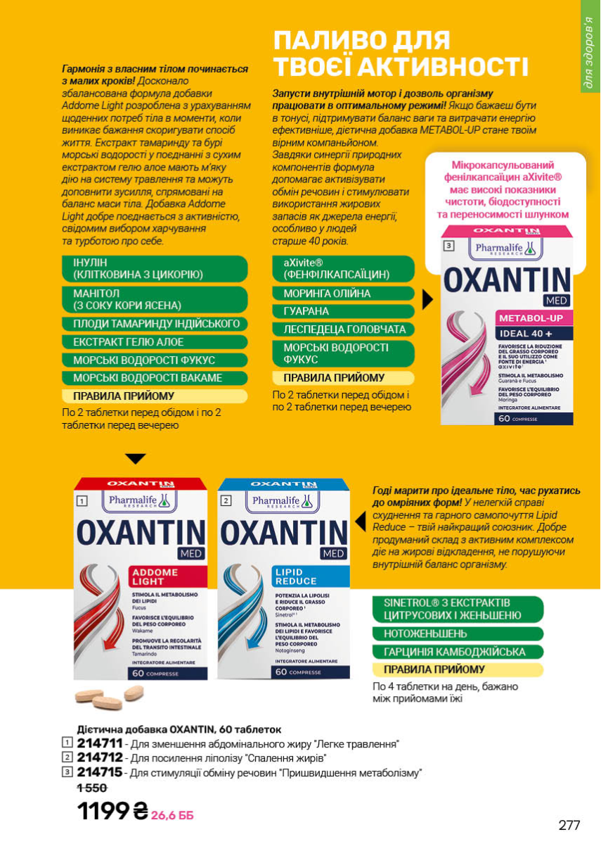 Каталог №12 - 2025