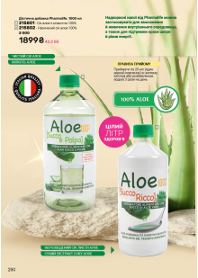 Каталог №12 - 2025