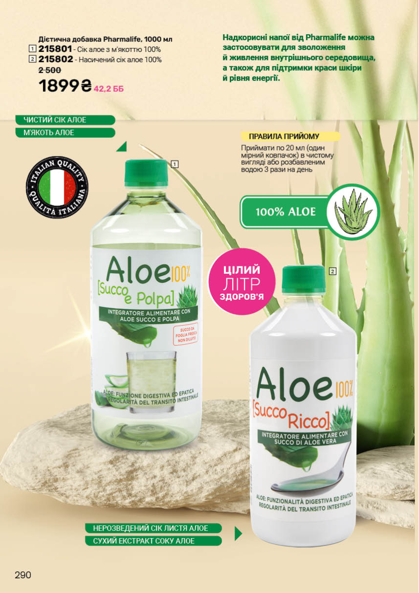 Каталог №12 - 2025