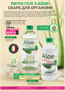 Каталог №6 - 2025