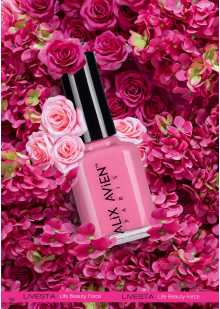 Каталог №6 - 2025