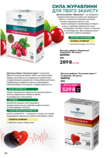 Каталог №11 - 2025