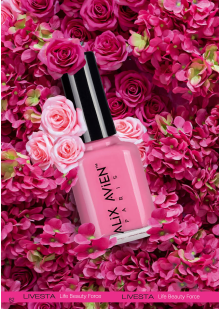 Каталог №7 - 2025