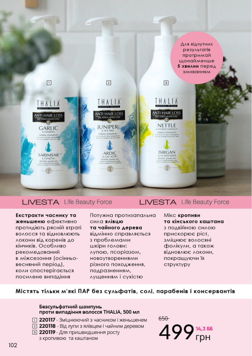 Каталог №13 - 2023