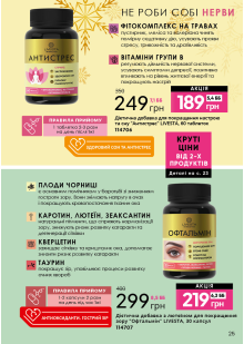 Каталог №13 - 2023