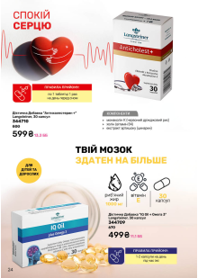 Каталог №9 - 2025