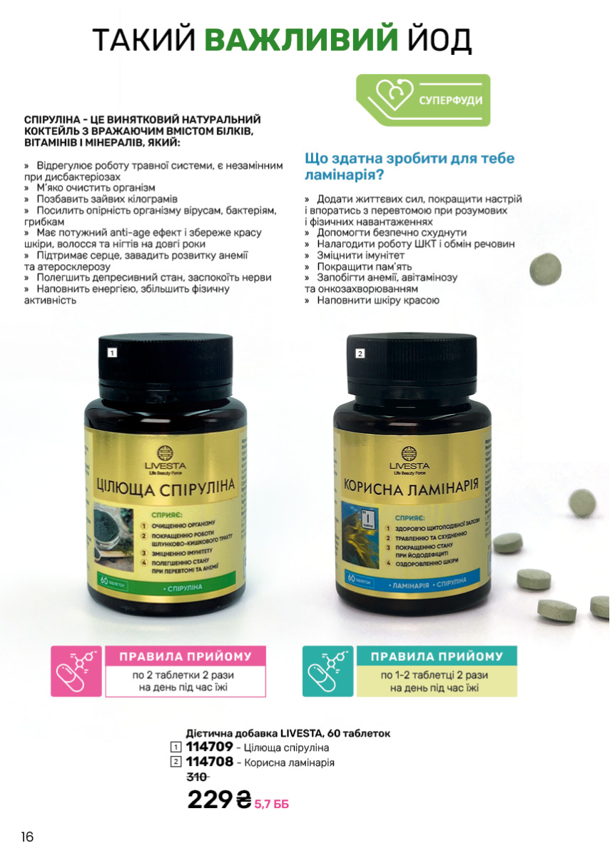 Каталог №11 - 2024