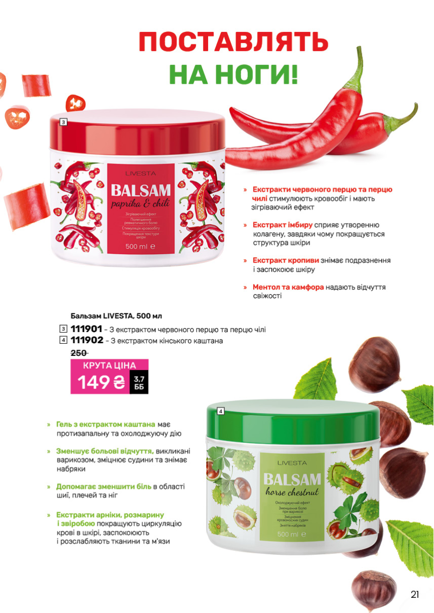 Каталог №11 - 2024