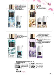 Каталог №11 - 2024