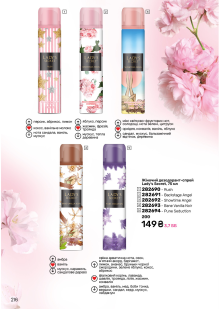 Каталог №11 - 2024