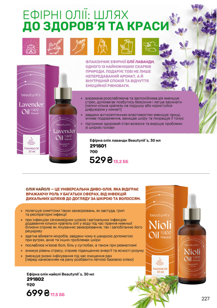 Каталог №11 - 2024