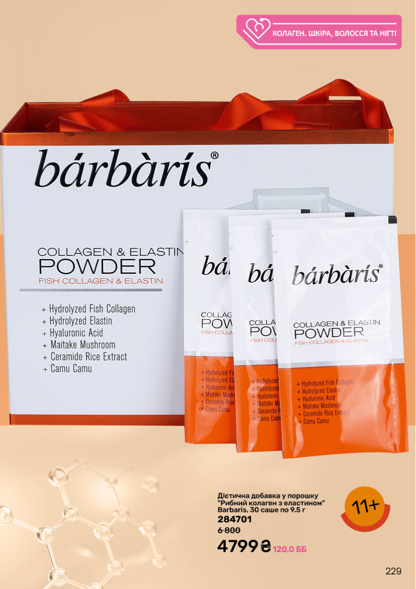 Каталог №11 - 2024