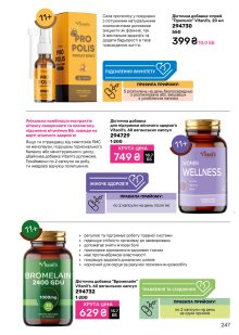 Каталог №11 - 2024