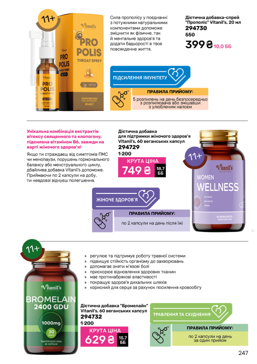 Каталог №11 - 2024