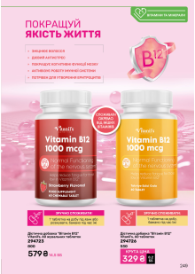 Каталог №11 - 2024