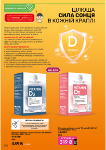 Каталог №11 - 2024