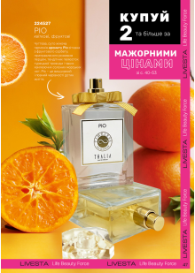 Каталог №11 - 2024