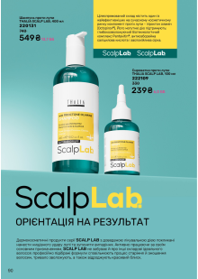 Каталог №11 - 2024