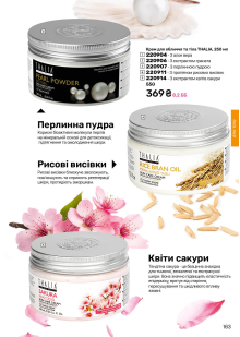 Каталог №13 - 2025