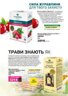 Каталог №13 - 2025