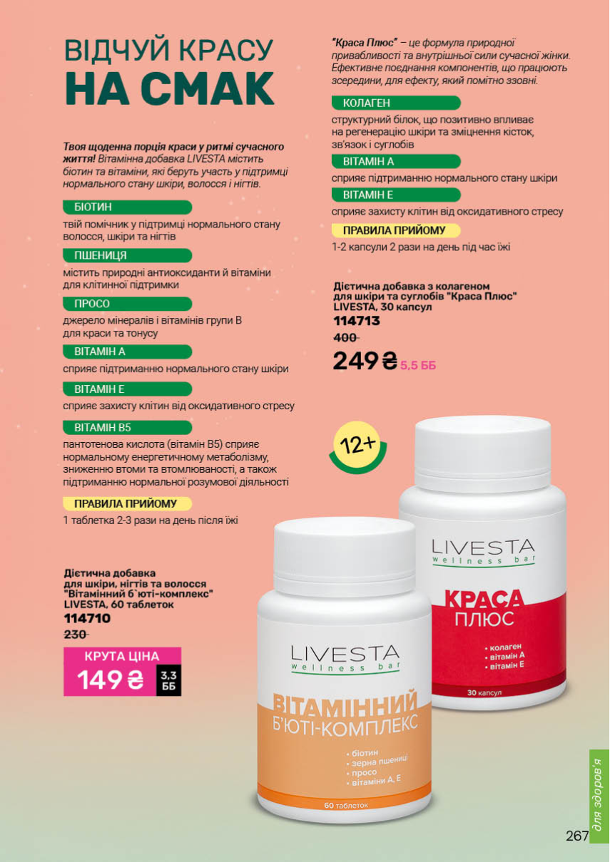 Каталог №13 - 2025