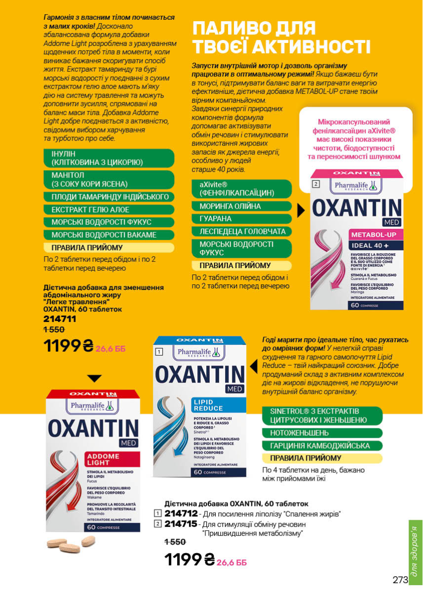 Каталог №13 - 2025