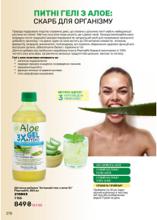 Каталог №13 - 2025