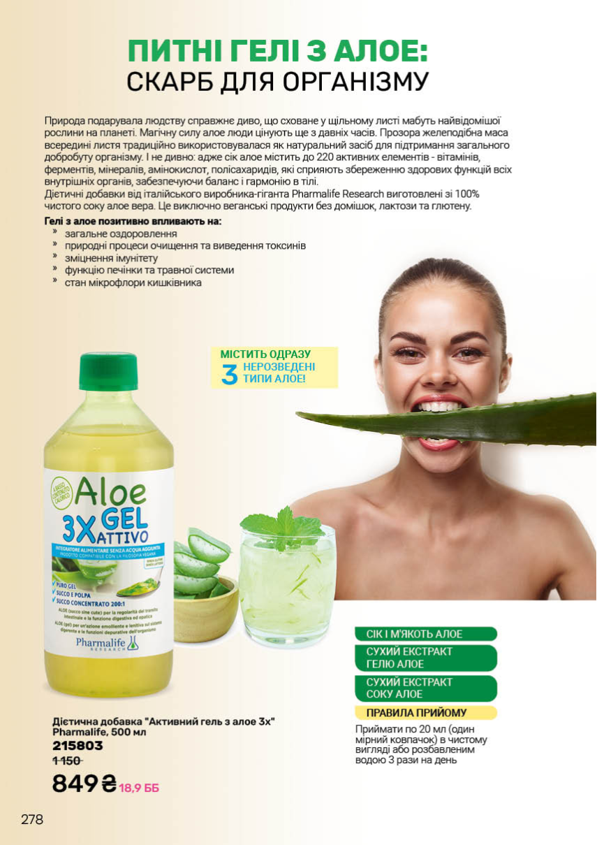 Каталог №13 - 2025