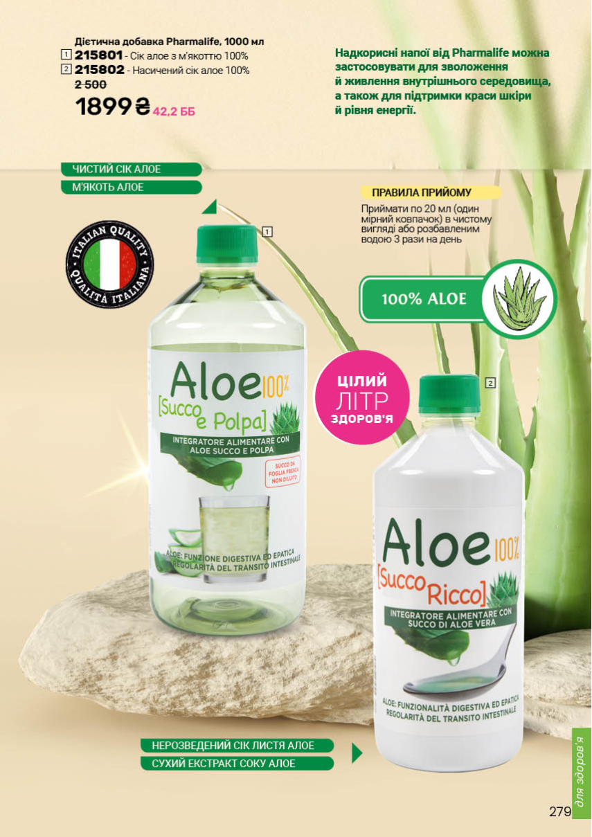 Каталог №13 - 2025