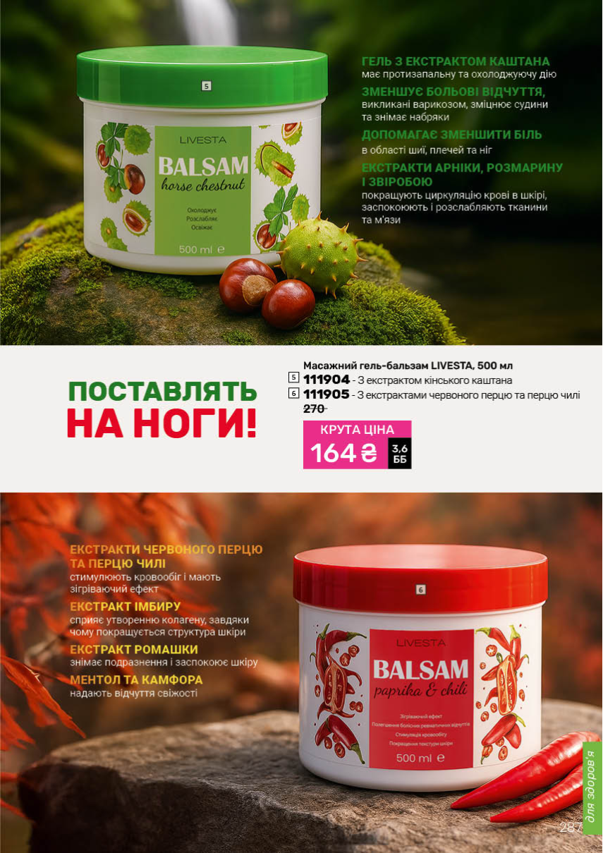 Каталог №13 - 2025