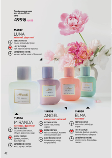 Каталог №13 - 2025