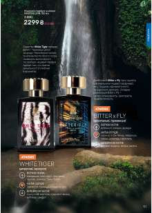 Каталог №13 - 2025