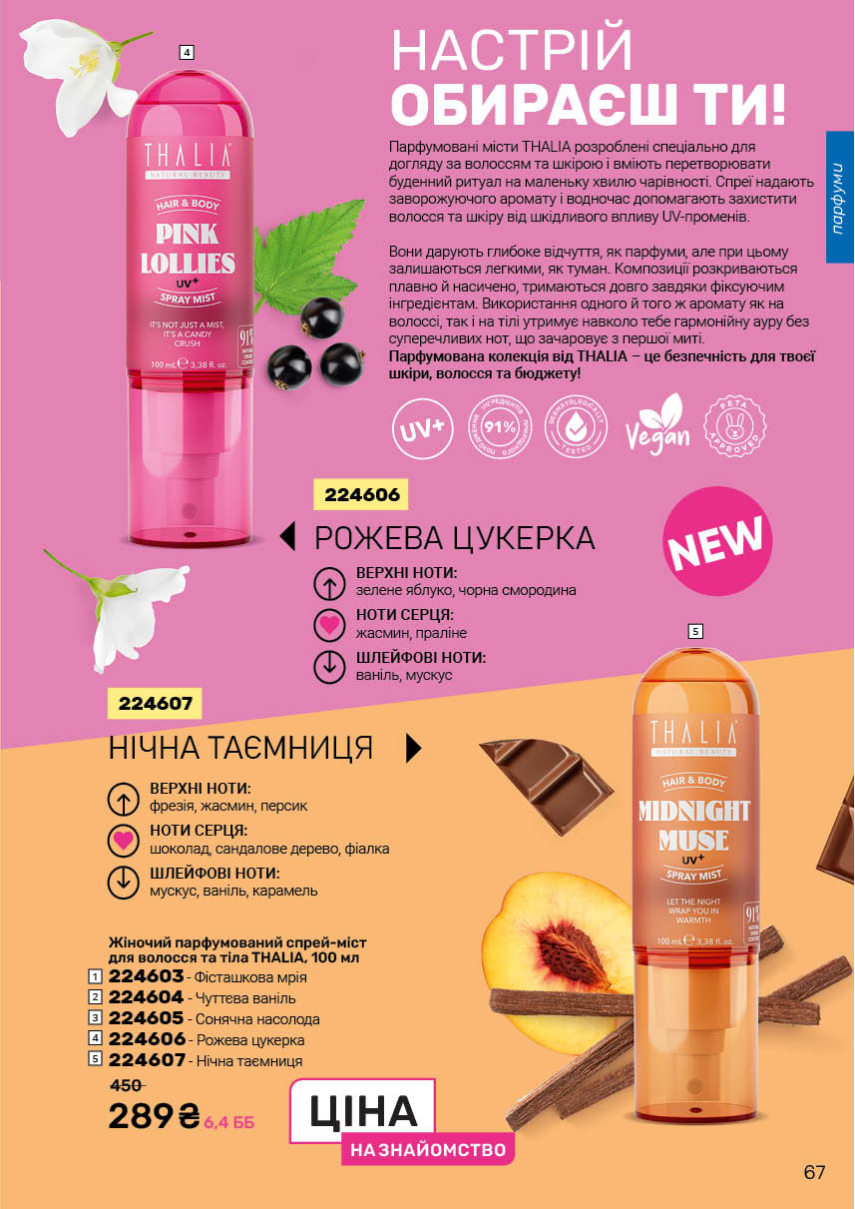 Каталог №13 - 2025